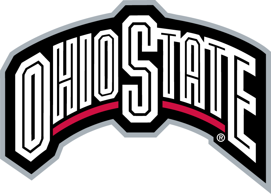 Ohio State Buckeyes 2003-2012 Wordmark Logo DIY iron on transfer (heat transfer)...